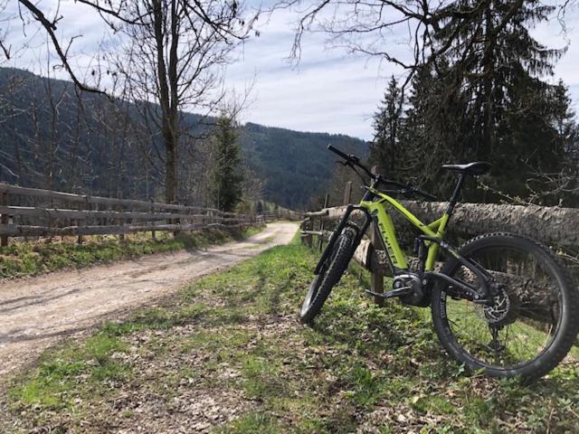 Appartement Freiraum Sankt Martin am Tennengebirge Zewnętrze zdjęcie