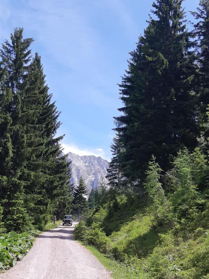 Appartement Freiraum Sankt Martin am Tennengebirge Zewnętrze zdjęcie