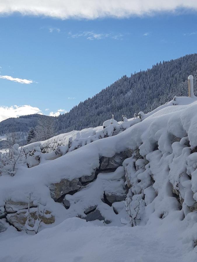 Appartement Freiraum Sankt Martin am Tennengebirge Zewnętrze zdjęcie